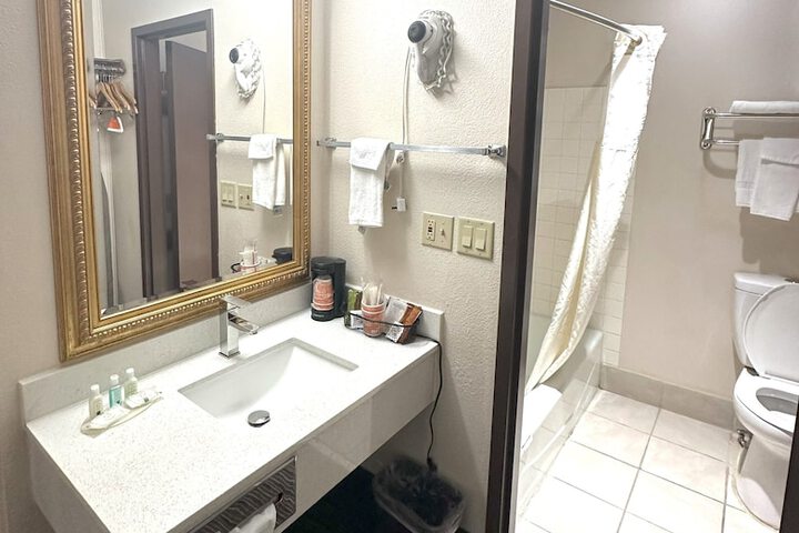 Bathroom sink