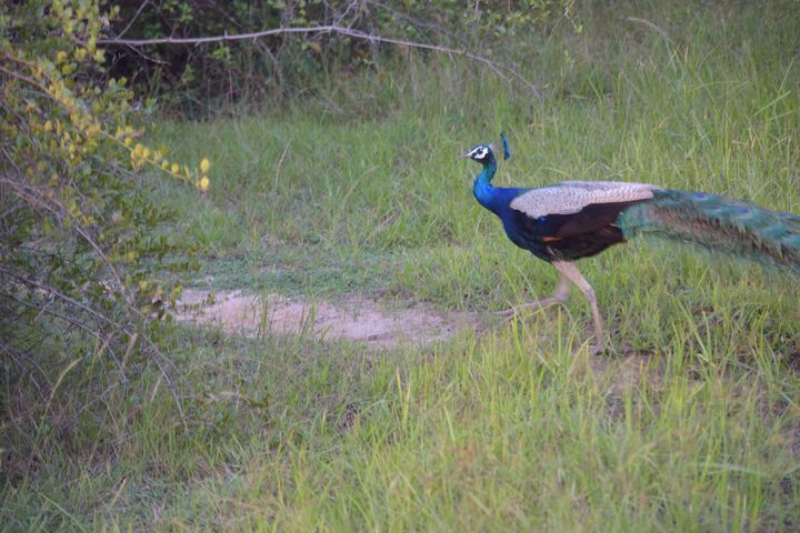 General 121 of 121