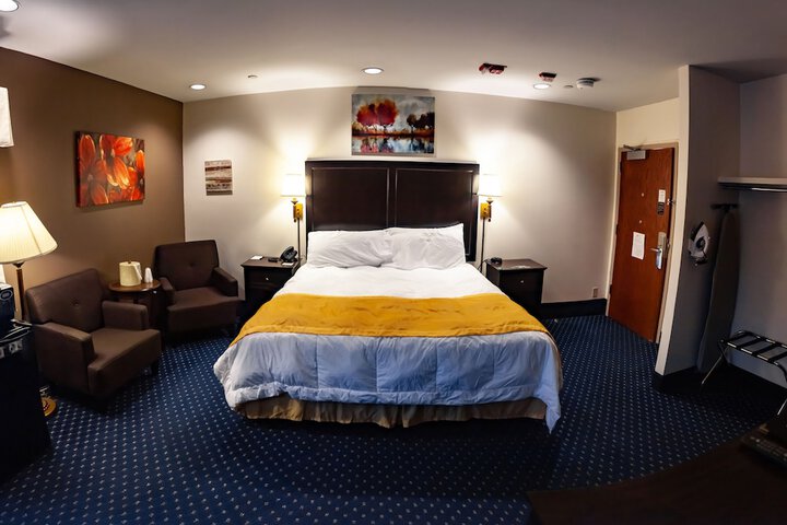 Standard Single King Bed Accessible (5 of 5)