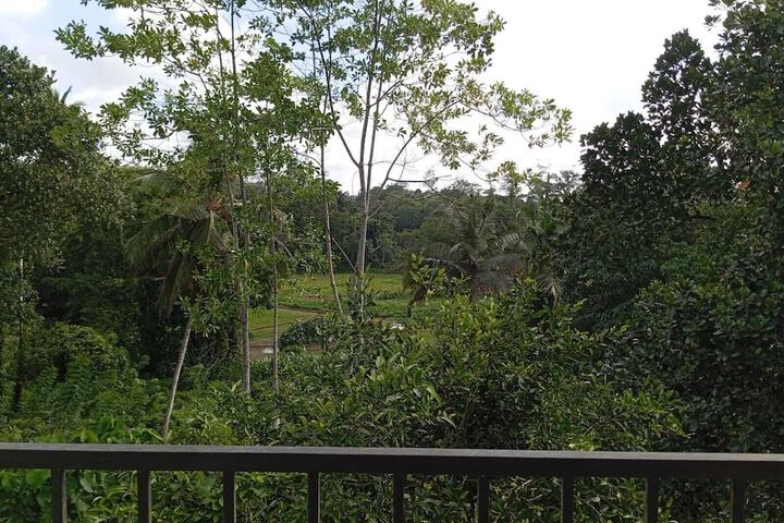 Property Grounds 36 of 41