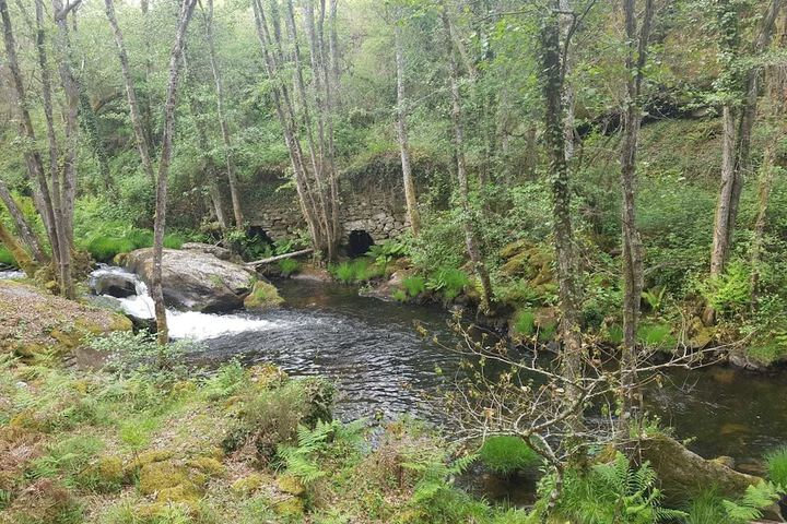 Property Grounds 1 of 6