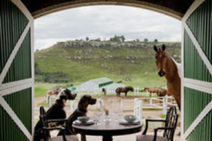 Hotel Interior 16 of 49