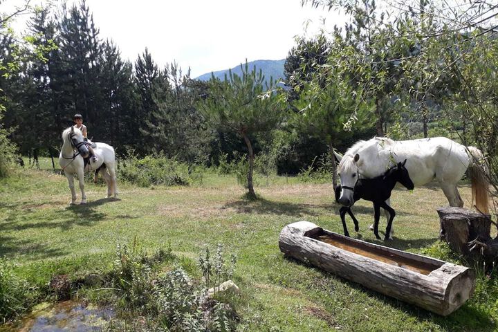 General 166 of 166
