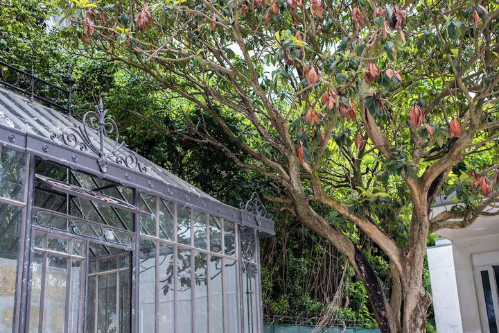 Property Grounds 62 of 74