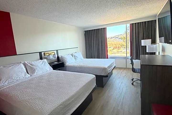 Photo 8