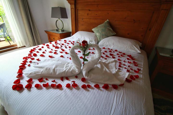 Room 15 of 52