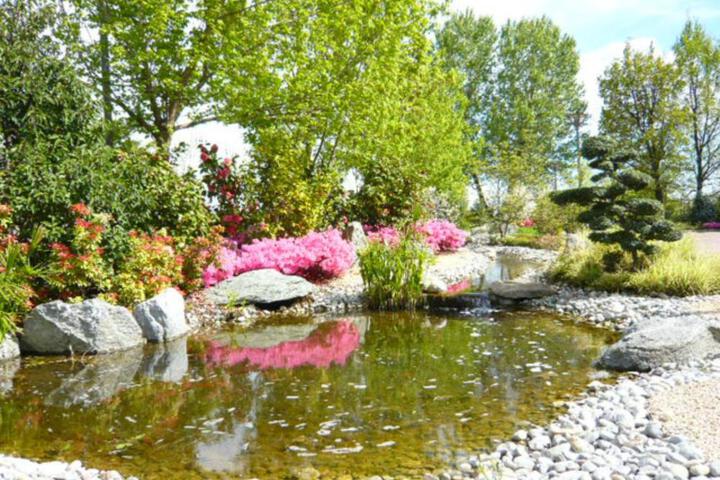 Spa and Wellness Pictures