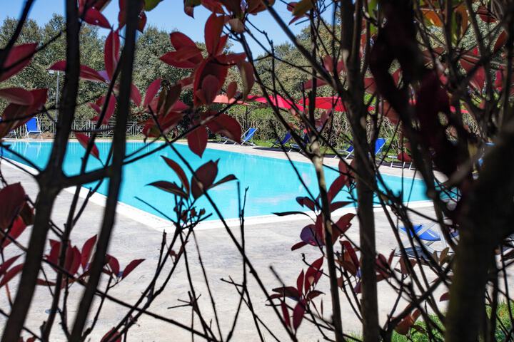 Pool 45 of 87