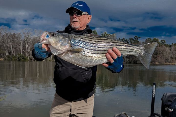 Outdoor Activities 60 of 124