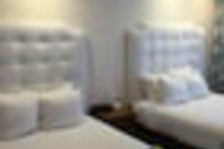 Room 50 of 255