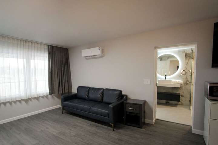 1 King Bed Pet Friendly Accessible (4 of 90)