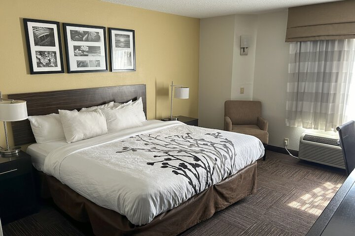 1 King Bed (7 of 21)
