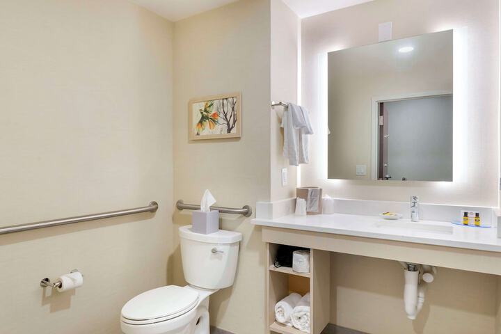1 King Bed Bathtub Accessible (2 of 14)