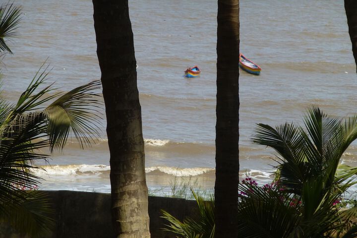 Beach 196 of 233
