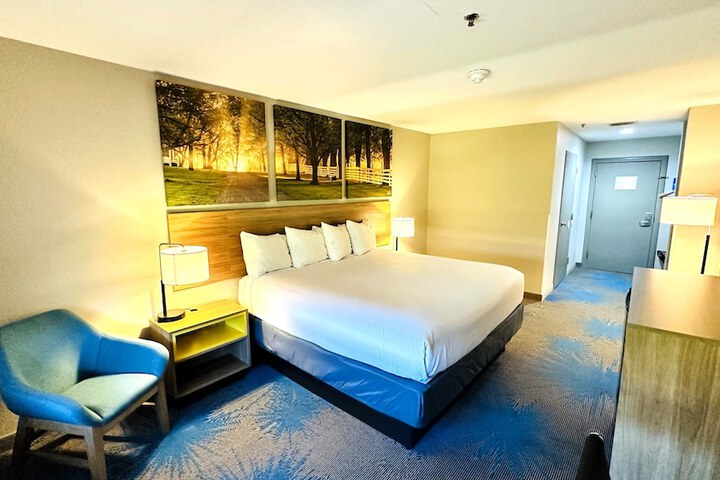 1 King Bed (8 of 19)