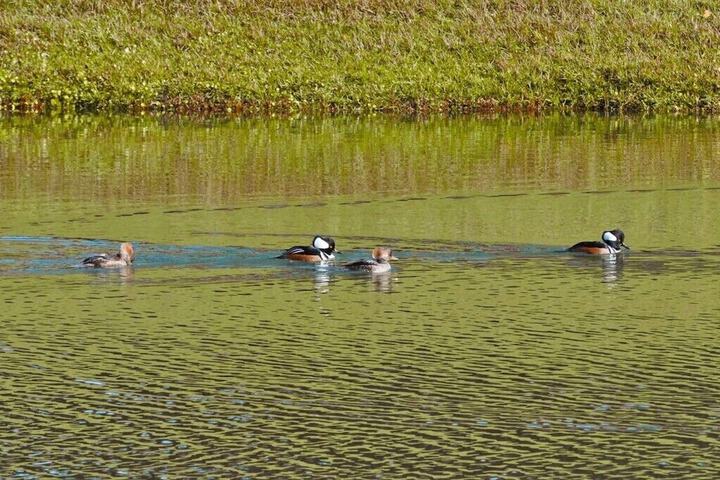 Health and Fitness 22 of 30