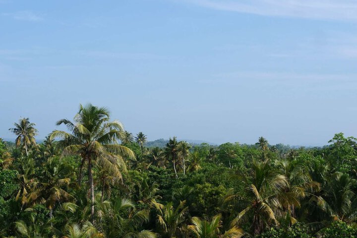 Hotel View 82 of 91