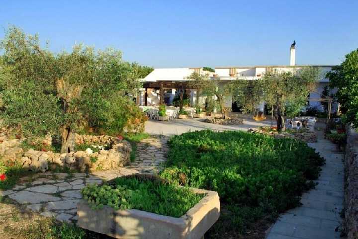 AGRITURISMO IL SORRISO DEGLI ULIVI