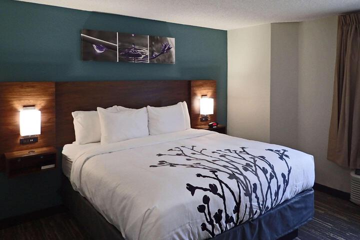 1 King Bed Accessible (2 of 8)