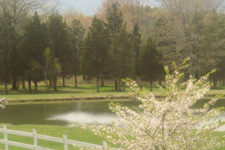 Property Grounds 51 of 72