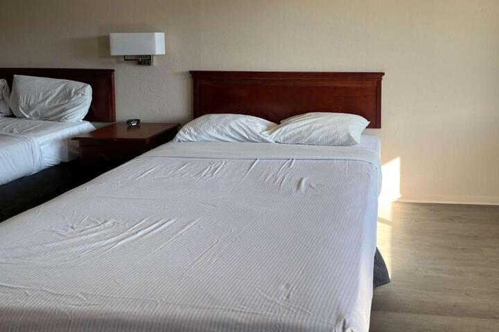 1 Apartment | 1 King Bed 1 Queen Bed