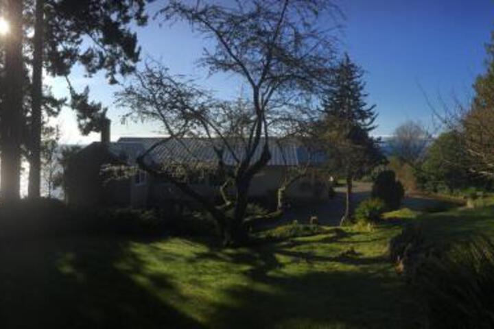 General 6 of 29