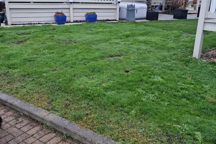 Property Grounds 34 of 46