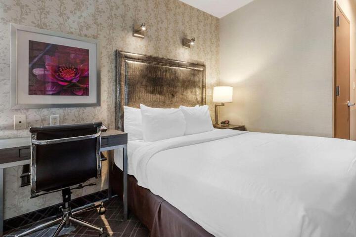 1 Queen Bed Basement Work Desk Refrigerator WiFi Coffee Tea Maker Continental Breakfast (1 of 7)
