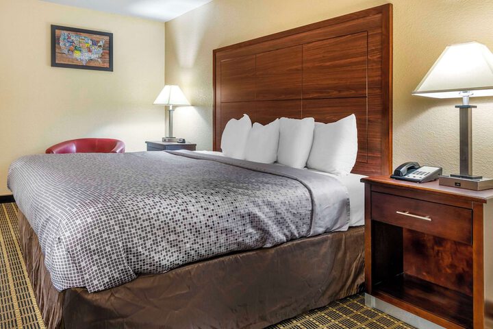 1 King Bed (10 of 14)