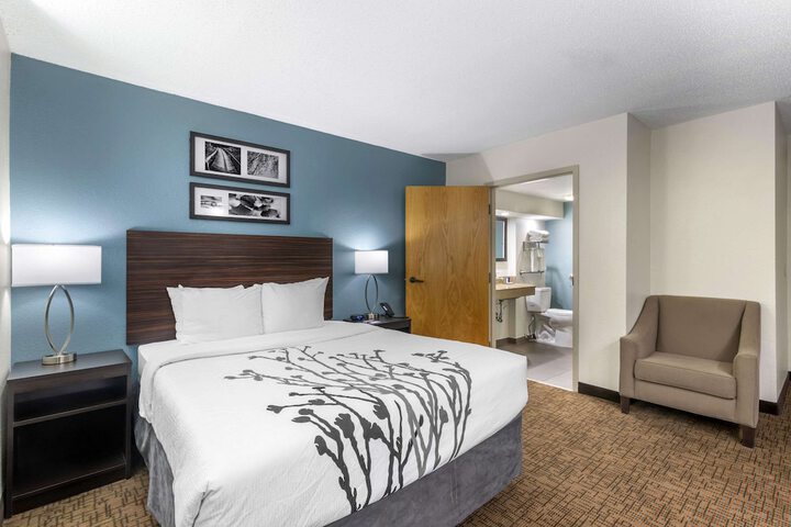 1 Queen Bed Accessible (3 of 10)