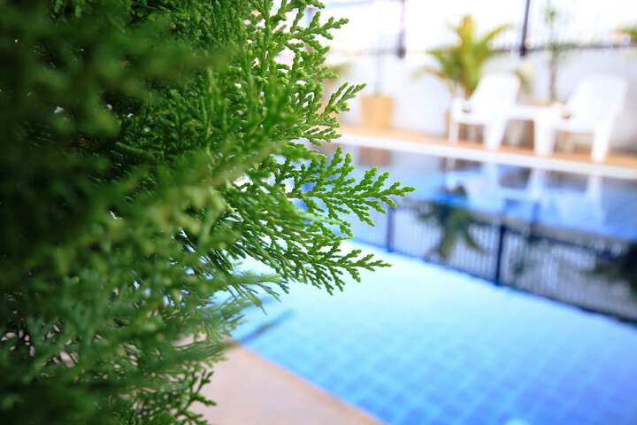Pool Photo
