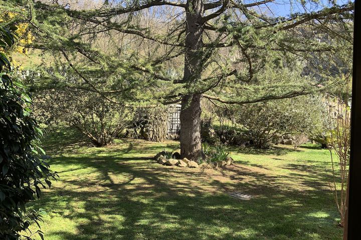 Park view