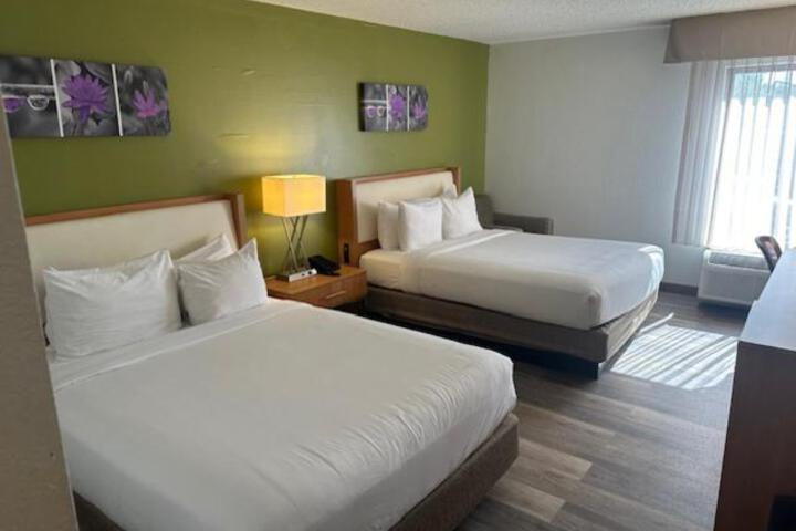 2 Queen Beds (6 of 13)