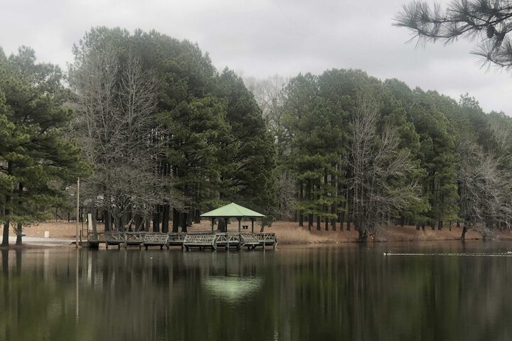 Property Grounds 59 of 66