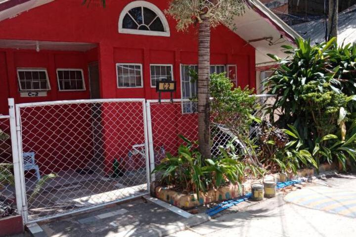 Photo 11