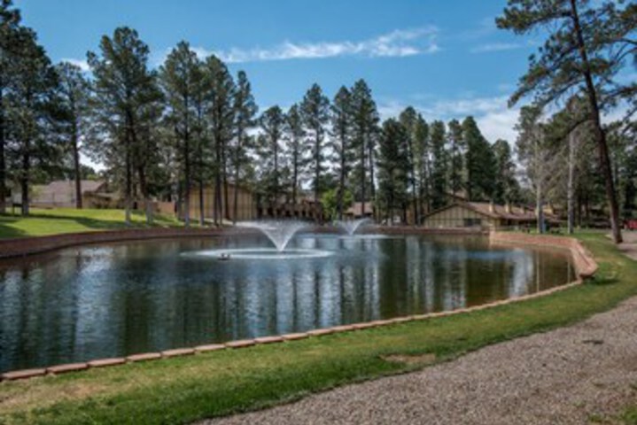 Property Grounds 10 of 28