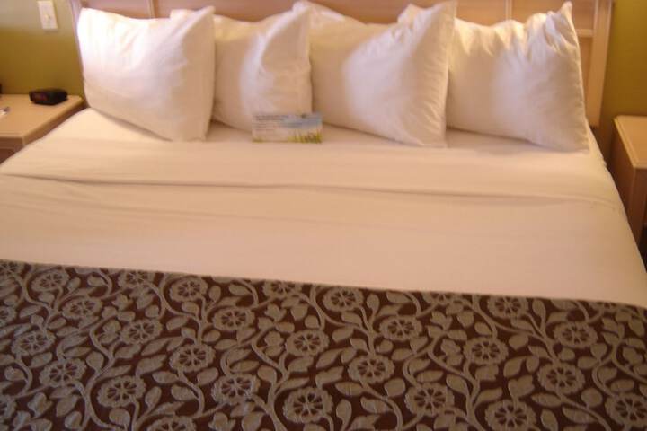 Room 14 of 60