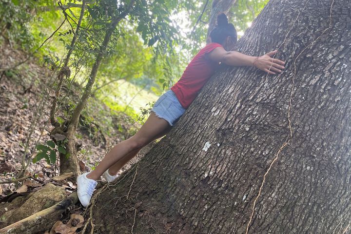 Outdoor Activities 19 of 26