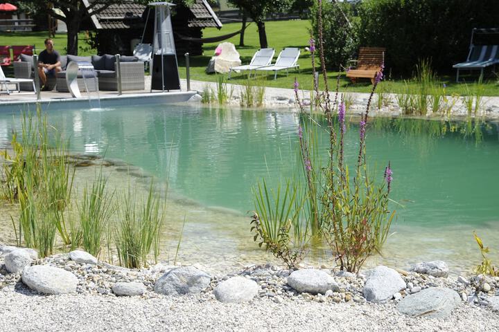 Pool 23 of 58