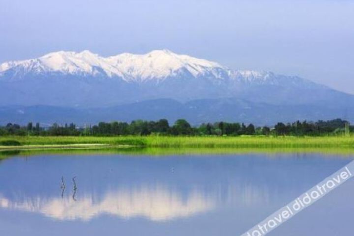 General 37 of 61