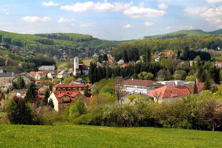 Hotel Rosner