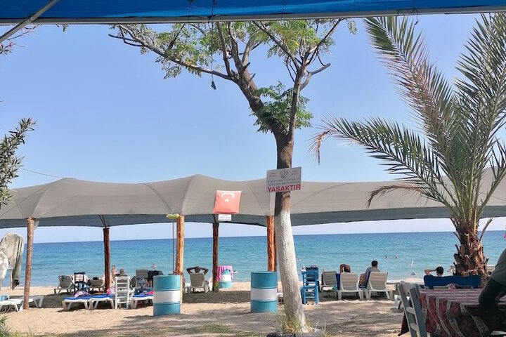 Beach 37 of 60