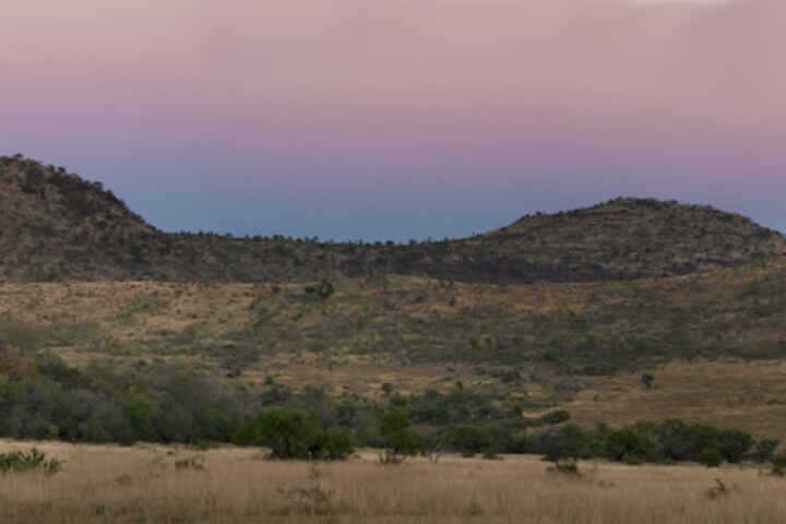 Safari