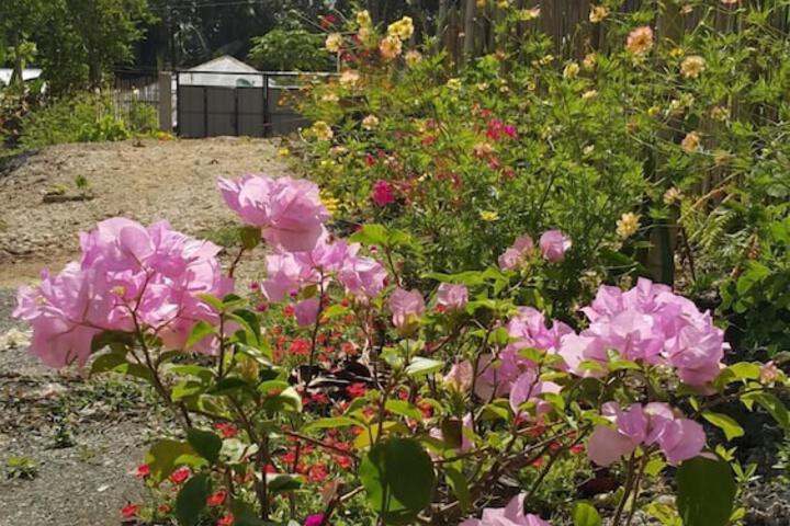 Property Grounds 9 of 22