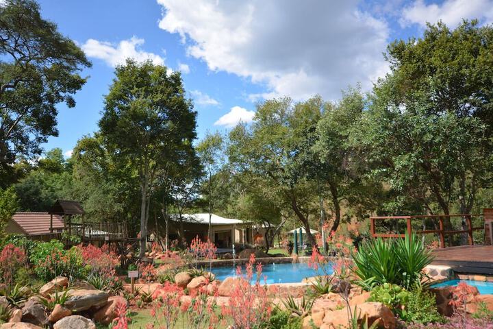 Pool 54 of 108
