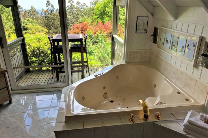 Hot Tub 87 of 91