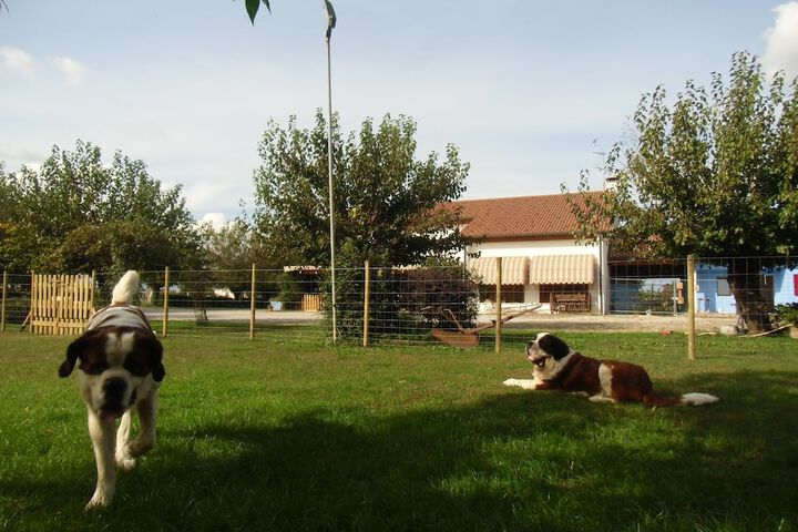Pet Friendly 17 of 25