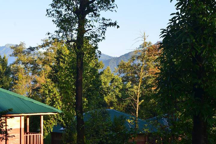Hotel View 13 of 15