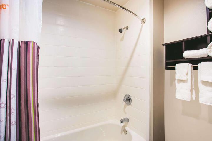 1 Queen Bed Mobility Accessible Roll in Shower (4 of 13)