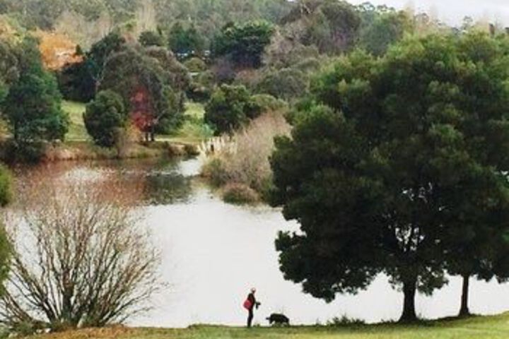 Property Grounds 19 of 32